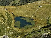 33 Vista sul Lago Piccolo (1986 m) coperto di piante acquatiche